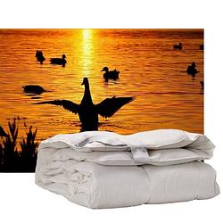 Foto van Isleep enkel dekbed 100% dons - warmteklasse 1 - lits-jumeaux 240x220 cm