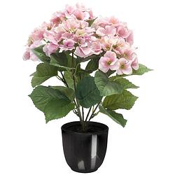 Foto van Hortensia kunstplant/kunstbloemen 40 cm - roze - in pot zwart glans - kunstplanten