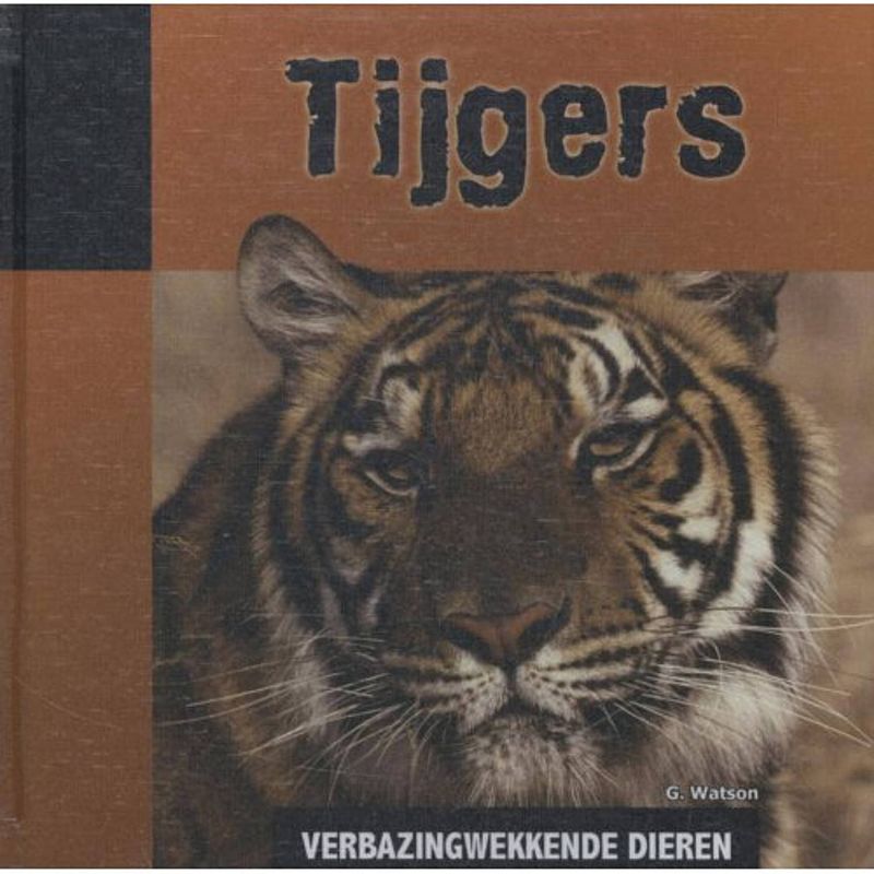 Foto van Tijgers - verbazingwekkende dieren