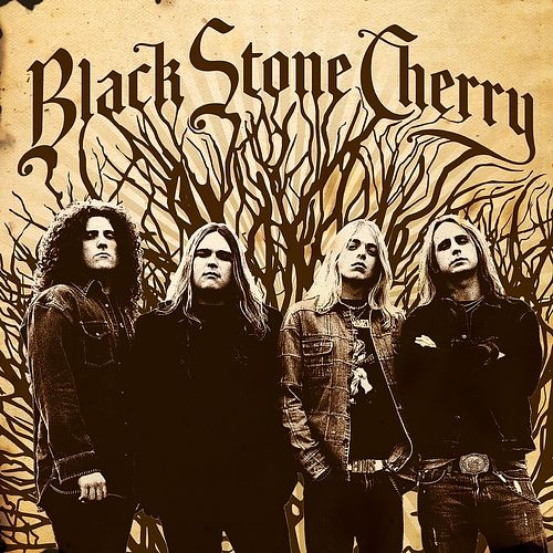 Foto van Black stone cherry - lp (8719262022799)