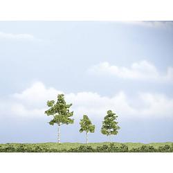 Foto van Woodland scenics wtr1605 set bomen berk 40 tot 75 mm groen (gemiddeld) 3 stuk(s)