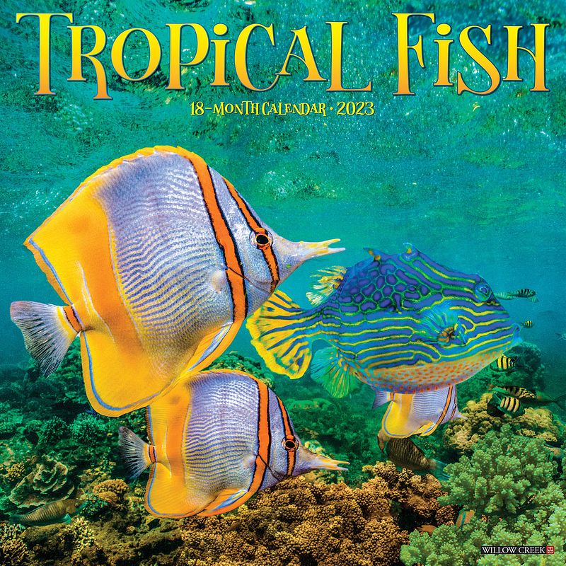 Foto van Tropical fish kalender 2023