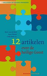 Foto van 12 artikelen over de heilige geest - arjan plaisier, bram van de beek, ciska stark - ebook (9789023929499)