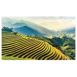 Foto van Decopaneel rijstvelden - 70x118 cm - leen bakker