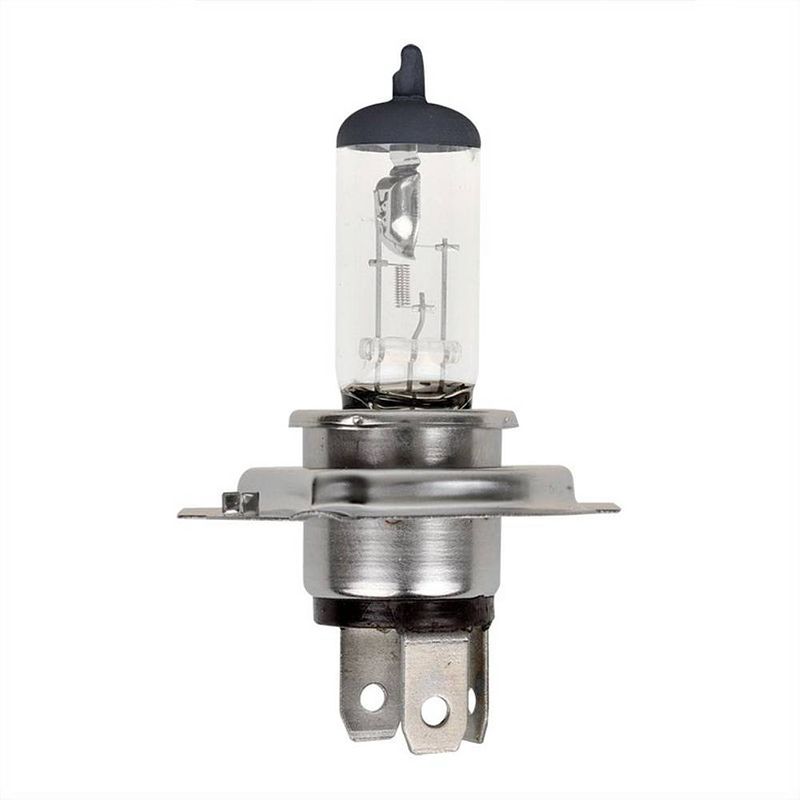 Foto van Proplus 410362 halogeenlamp h4 55 w 12 v