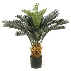 Foto van Emerald kunstboom in pot cycas revoluta 80 cm