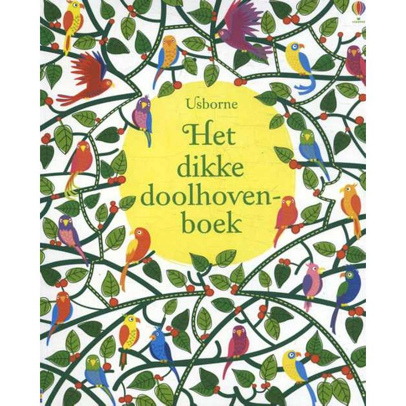 Foto van Het dikke doolhovenboek