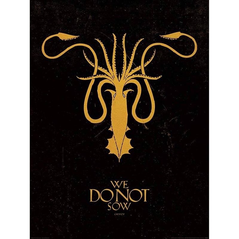 Foto van Pyramid game of thrones greyjoy kunstdruk 60x80cm