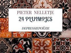 Foto van 24 pluimpjes - pieter nelletje - paperback (9789403712956)