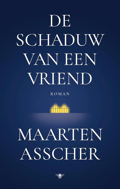 Foto van De schaduw van een vriend - maarten asscher - ebook (9789403193113)