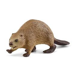 Foto van Schleich wild life bever 14855