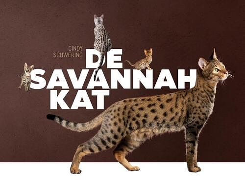 Foto van De savannah kat - cindy schwering - hardcover (9789081133050)