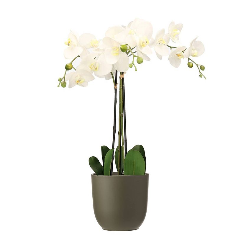 Foto van Orchidee kunstplant wit - 75 cm - inclusief bloempot olijfgroen mat - kunstplanten