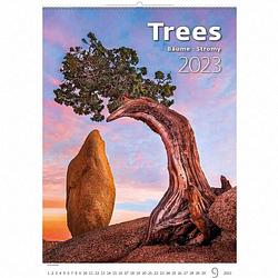 Foto van Bomen - trees kalender 2023