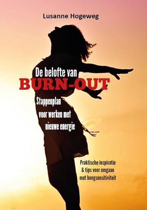 Foto van De belofte van burn-out - lusanne hogeweg - ebook (9789464492521)