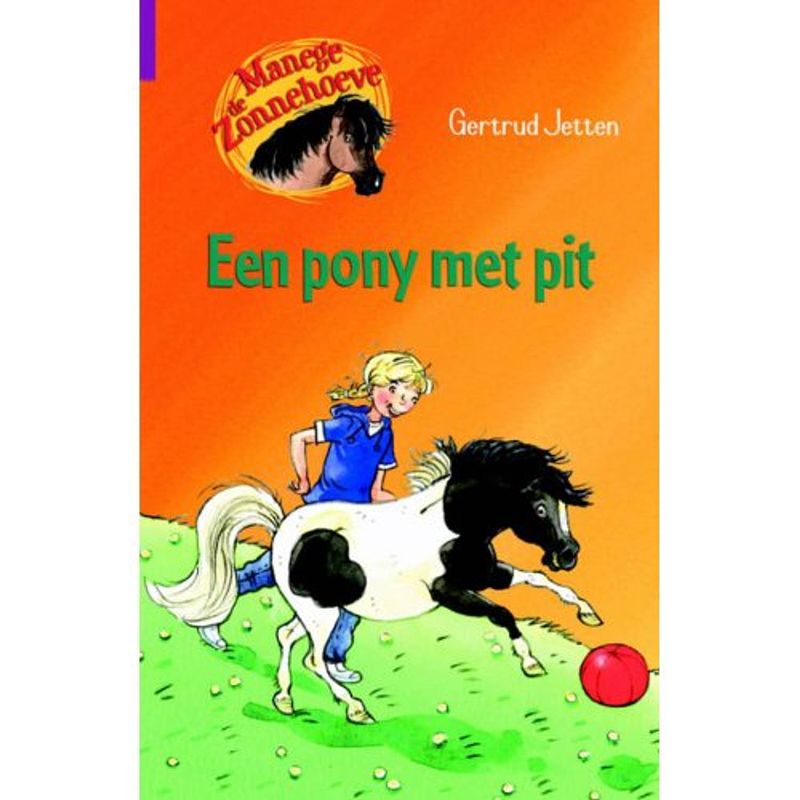 Foto van Een pony met pit - manege de zonnehoeve