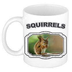 Foto van Dieren eekhoorn beker - squirrels/ eekhoorns mok wit 300 ml - feest mokken