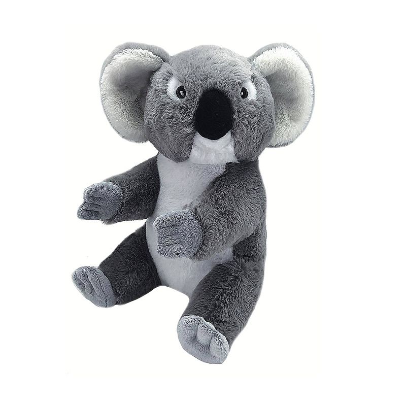 Foto van Wild republic knuffel koala ecokins junior 30 cm pluche grijs