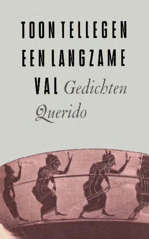 Foto van Een langzame val - toon tellegen - ebook (9789021449302)