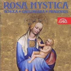 Foto van Gregorianik: rosa mystica (14, 15th century) - cd (0099925019426)