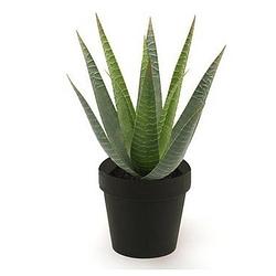 Foto van Kunstplant aloe vera groen in zwarte pot 23 cm - kunstplanten