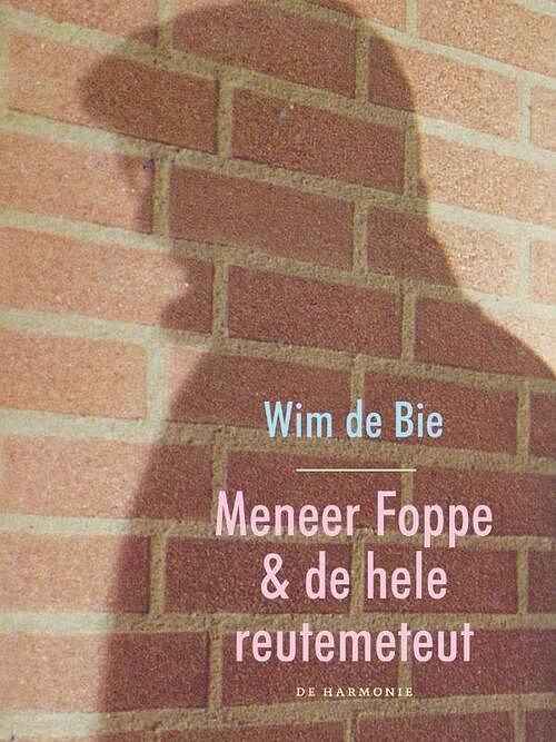 Foto van Meneer foppe en de hele reutemeteut - wim de bie - ebook (9789061699286)