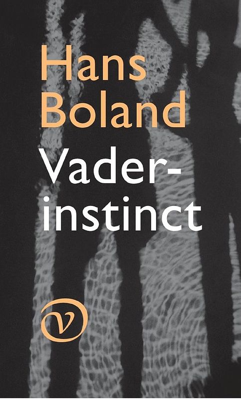 Foto van Vaderinstinct - hans boland - ebook (9789028280762)