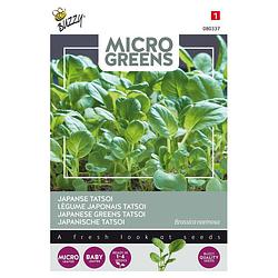 Foto van 5 stuks microgreens tatsoi