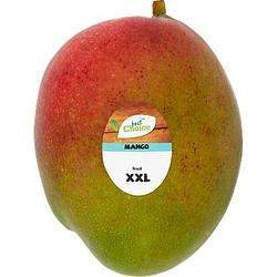 Foto van Jumbo mango xxl