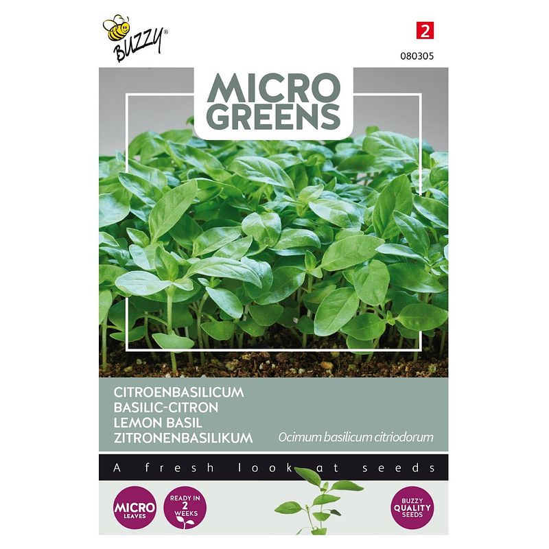 Foto van 5 stuks microgreens citroenbasilicum