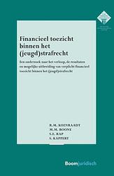 Foto van Financieel toezicht binnen het (jeugd)strafrecht - m.m. boone, r.m. koenraadt, s.e. rap, s. kappert - paperback (9789462909335)