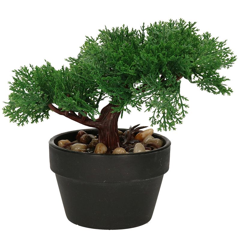 Foto van Kunstplant bonsai boompje in pot - japans decoratie - 19 cm - type moss - kunstplanten