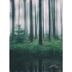 Foto van Wizard+genius in the woods vlies fotobehang 192x260cm 4-banen