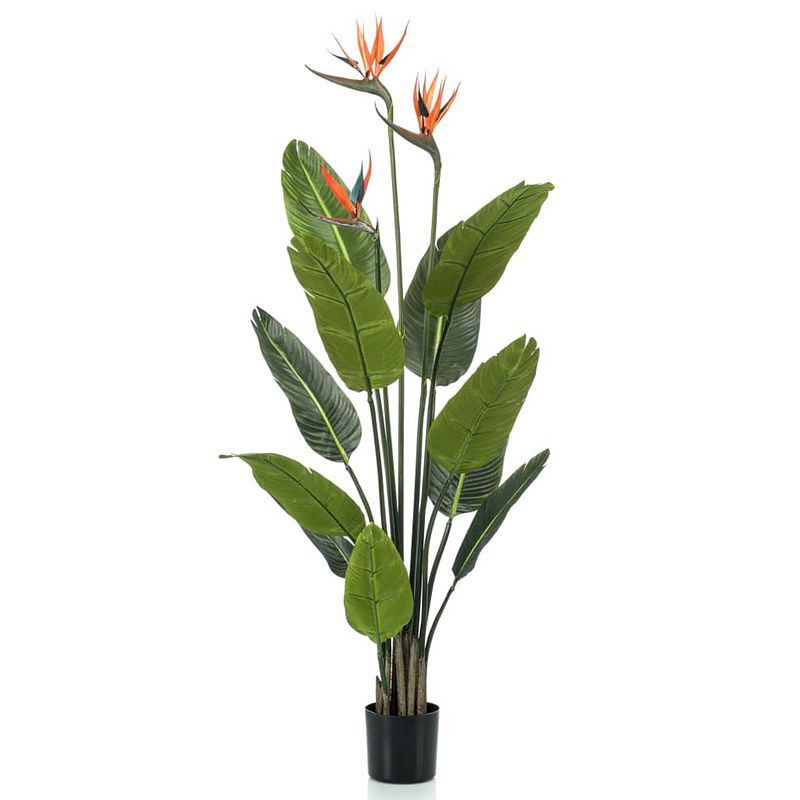 Foto van Strelitzia kunstplant 120cm met bloem