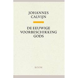 Foto van De eeuwige voorbeschikking gods