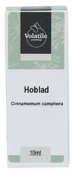 Foto van Volatile hoblad (cinnamomum camphora)