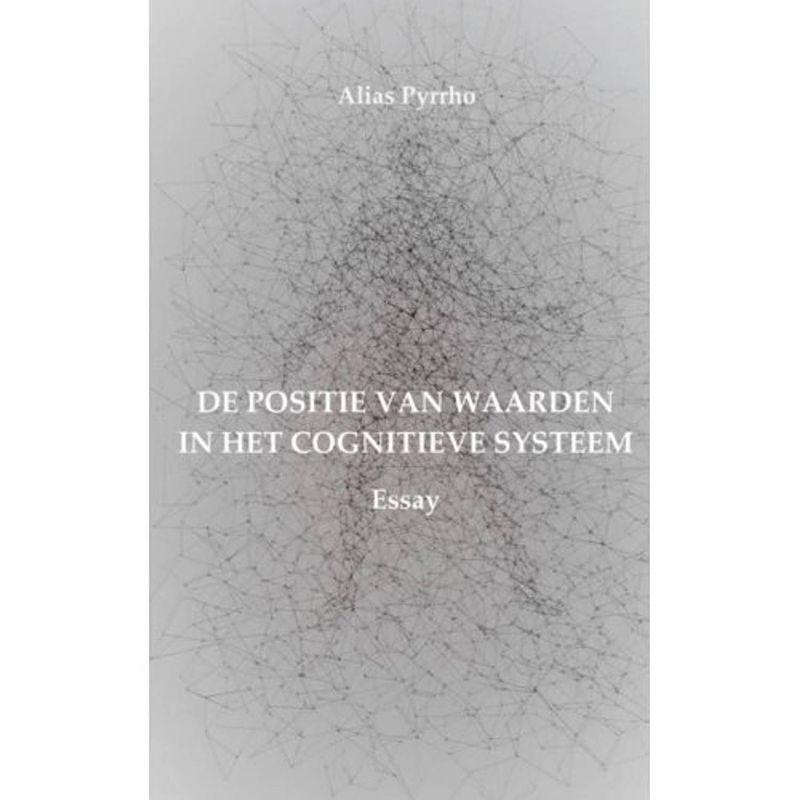 Foto van De positie van waarden in het cognitieve systeem