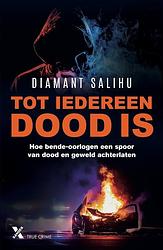 Foto van Tot iedereen dood is - diamant salihu - ebook