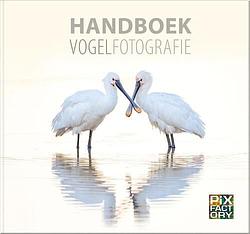 Foto van Handboek vogelfotografie - arno ten hoeve - hardcover (9789079588374)
