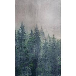 Foto van Dimex forest abstract fotobehang 150x250cm 2-banen