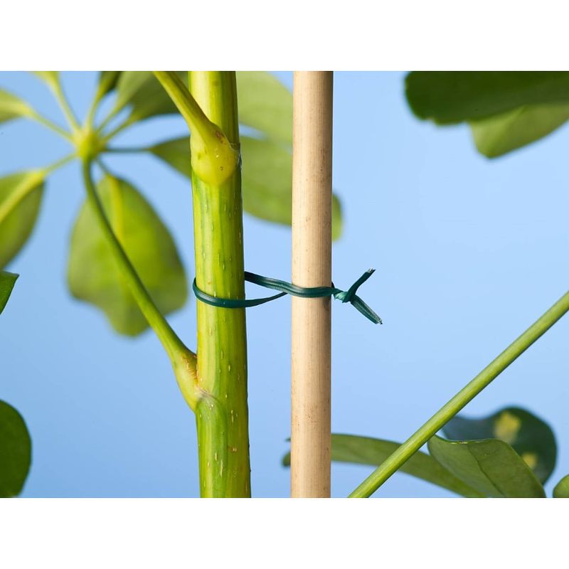 Foto van Nature - bindband groen met metalen kern geplastificeerd 100m