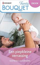 Foto van Een piepkleine verrassing - katrina cudmore - ebook