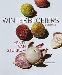 Foto van Winterbloeiers - yentl van stokkum - ebook (9789048866953)