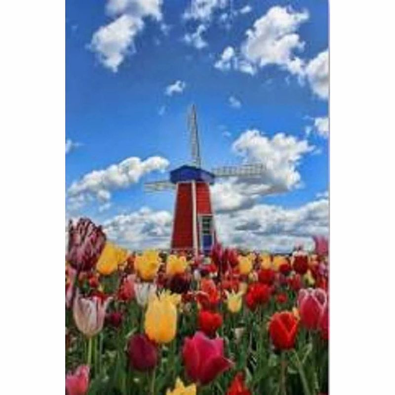 Foto van Vse diamond painting molen met tulpen veld 30 x 40 cm vierkante steentjes ansl-2093-3