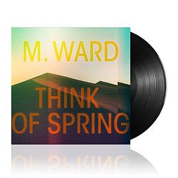 Foto van Think of spring - lp (8714092779011)