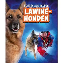 Foto van Lawinehonden - honden als helden