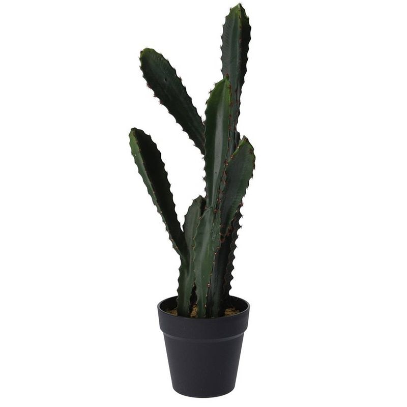 Foto van Groene kunstplant vetplant euphorbia 55 cm - kunstplanten