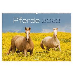 Foto van Paarden kalender 2023