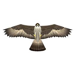 Foto van Valk roofvogel vlieger 112 x 50 cm