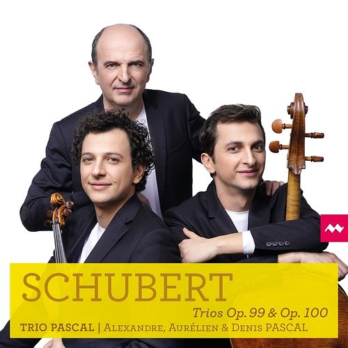 Foto van Schubert trios op. 99 & op. 100 - cd (5400863046972)